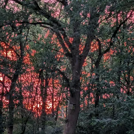 アパート Vogelgesang